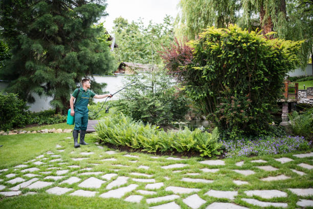 Best Fruit Tree Pruning  in Hopkins, MN