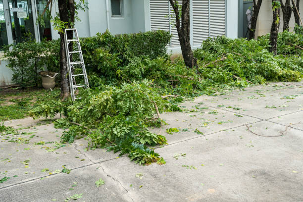 Best Aeration Services  in Hopkins, MN